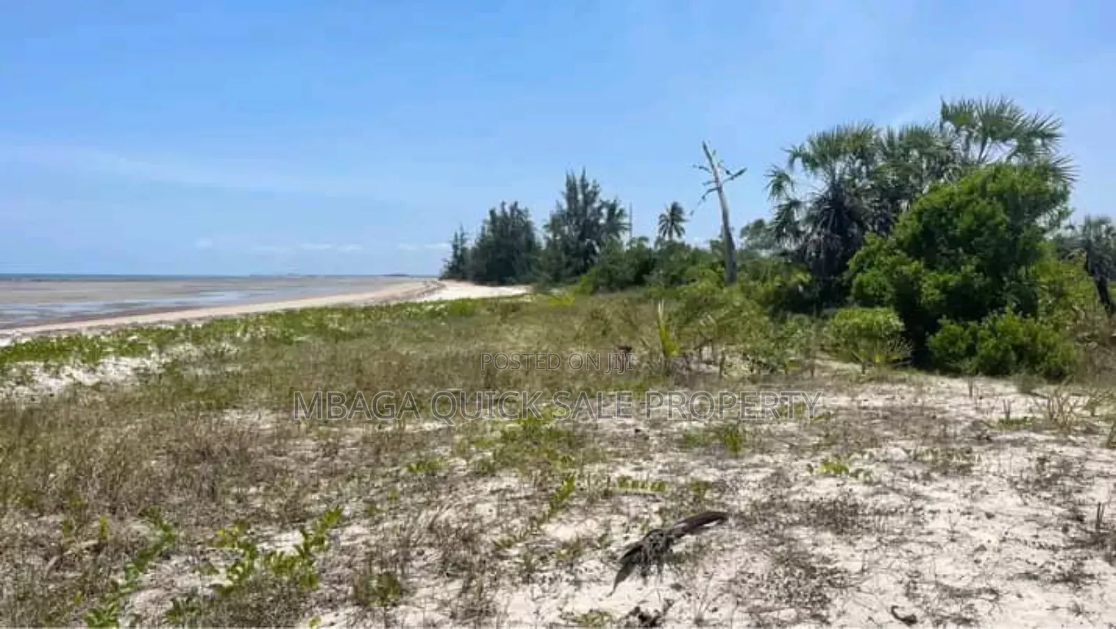Beach Plot for Sale Per Acres Located at Tanga