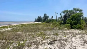 Beach Plot for Sale Per Acres Located at Tanga