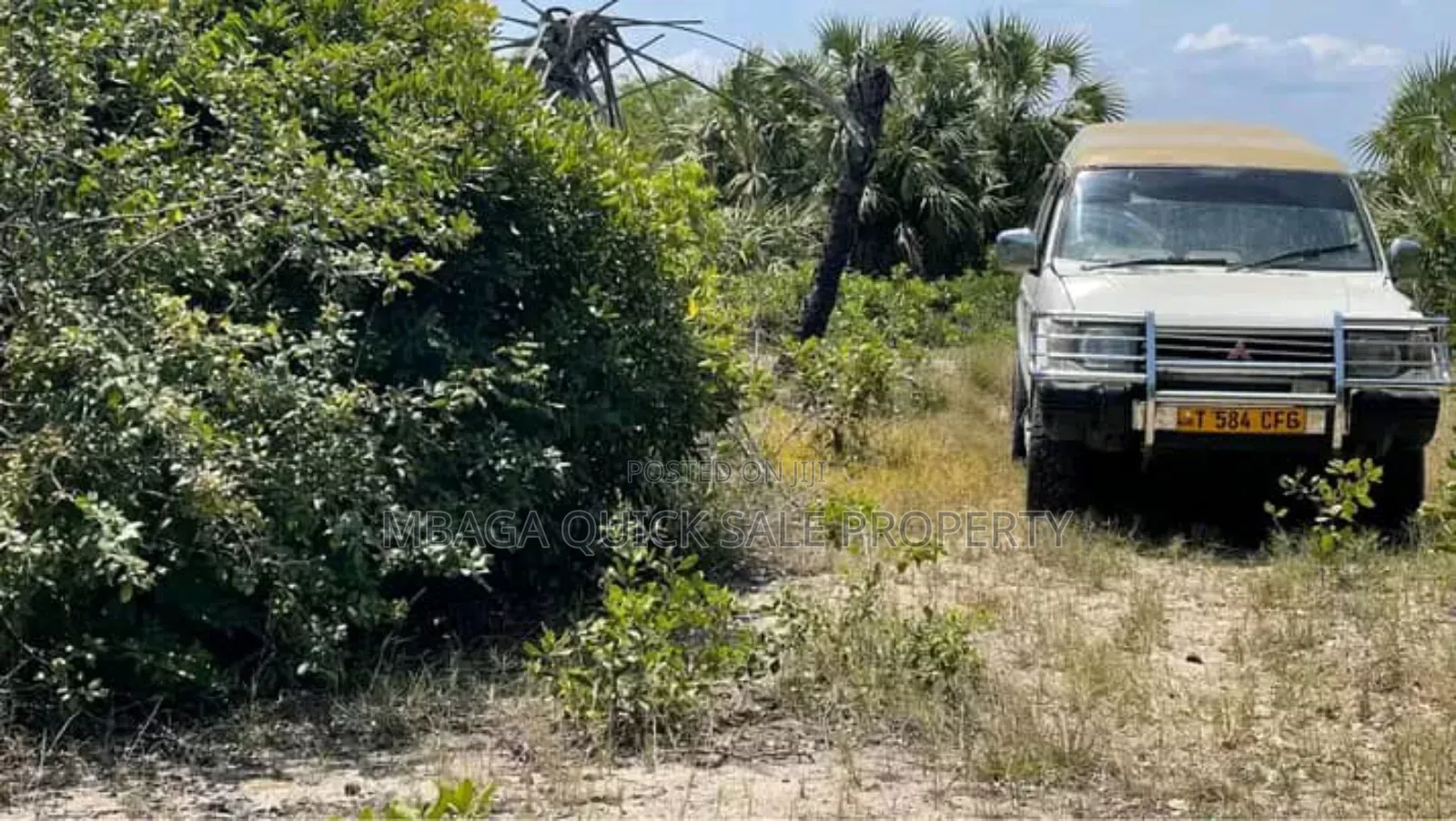 Beach Plot for Sale Per Acres Located at Tanga