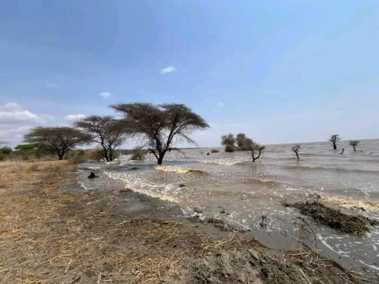 Plot With 20 Acres for Sale at Manyara Arusha