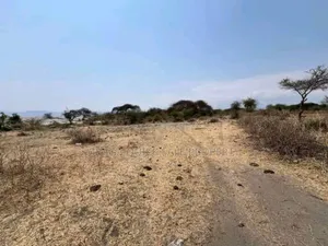 Plot With 20 Acres for Sale at Manyara Arusha
