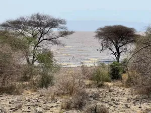 Plot With 20 Acres for Sale at Manyara Arusha