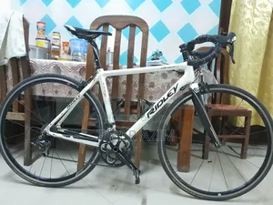 Ridley Orion Road Bike (Ultegra Group Set)