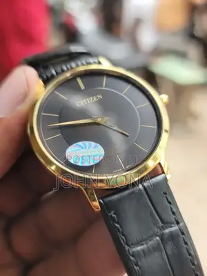 Citizen Eco-Drive Stiletto Men's Watch With Gold-Tone Case Black Dial