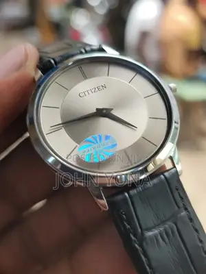 Citizen Eco-Drive Watch With a Silver Tone Dial