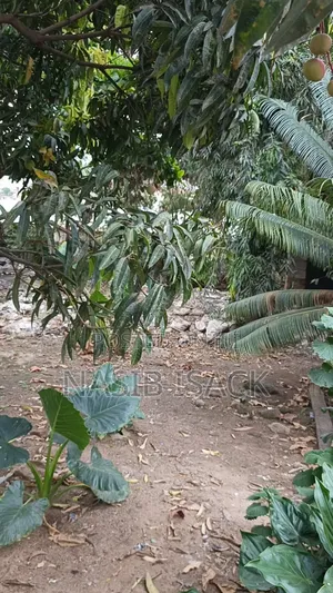 Furnished 5bdrm Townhouse/Terrace in Nata Stand, Nyamagana for sale