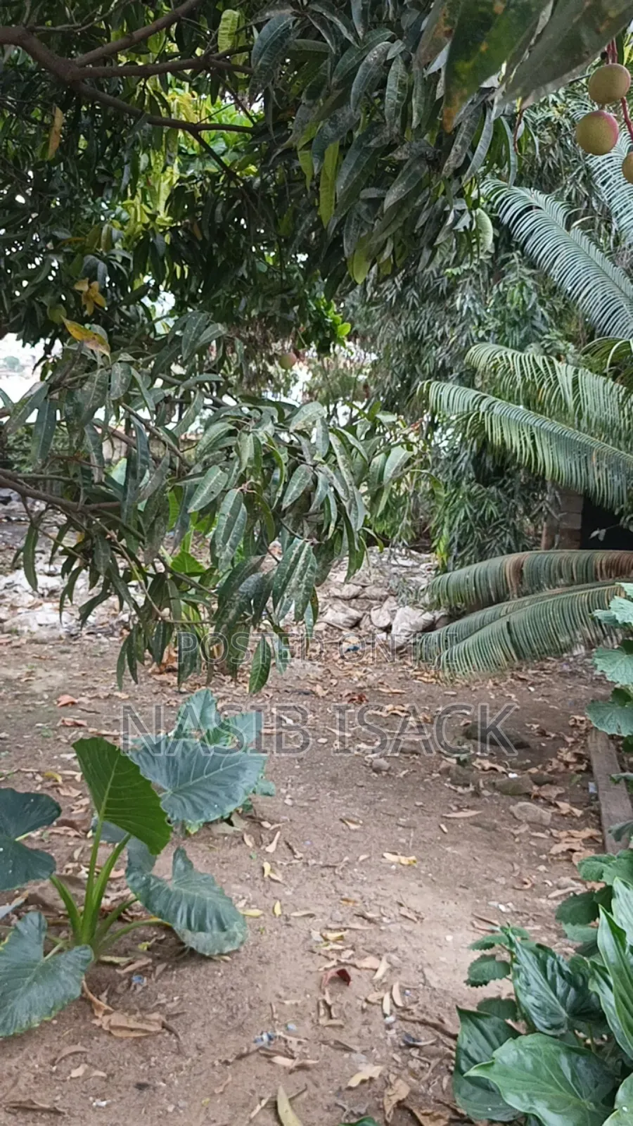 Furnished 5bdrm Townhouse/Terrace in Nata Stand, Nyamagana for sale