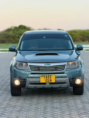 Subaru Forester 2009 Gray