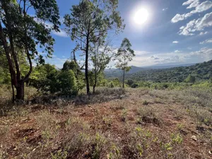 Farm With 7 Acres for Sale at Karatu