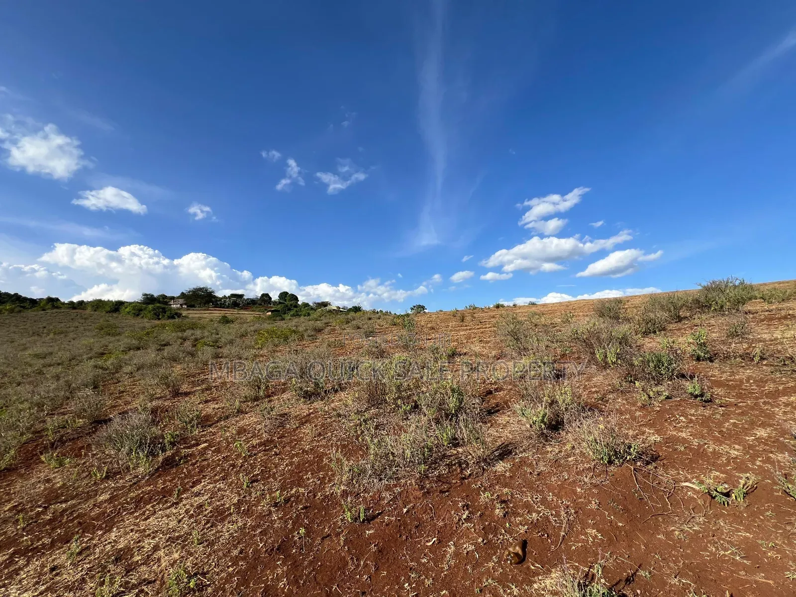Farm With 7 Acres for Sale at Karatu