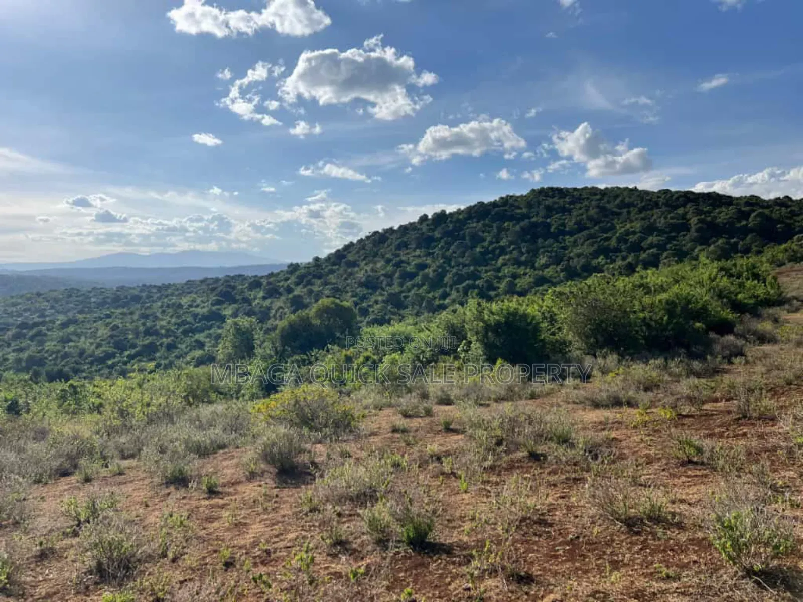 Farm With 7 Acres for Sale at Karatu