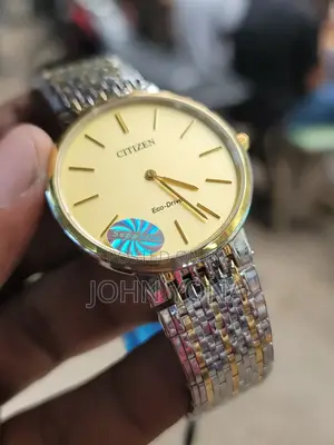 Citizen Eco-Drive Sapphire Watch With a Two-Tone Band and Gold-Colored