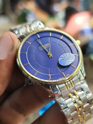 Citizen Eco-Drive Watch With a Blue Dial