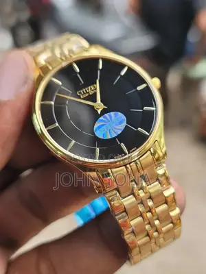 Citizen Eco-Drive Watch a Gold-Toned Band and a Black Dial