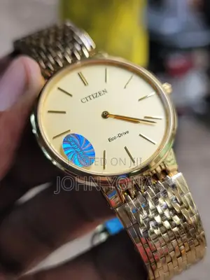 Citizen Eco-Drive Watch a Gold-Colored Band and a Light-Colored Dial