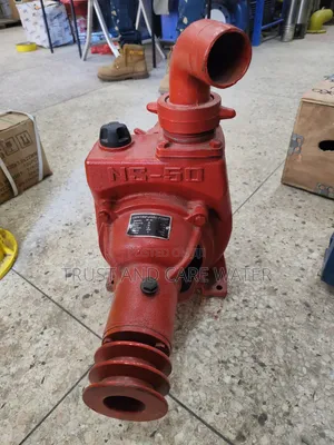 Ns 50 Centrifugal Pump (2inch)
