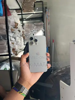 Apple iPhone 15 Pro Max 256 GB Silver
