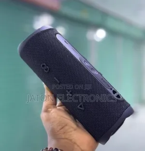 Flip 6 Wireless Bluetooth Speaker