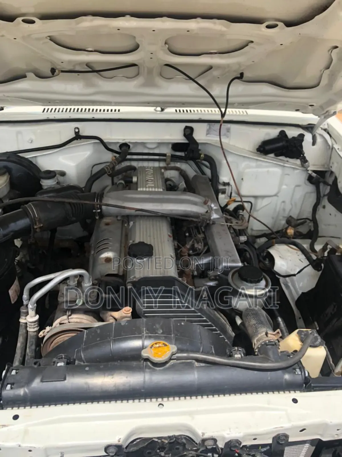 Toyota Land Cruiser 2001 White