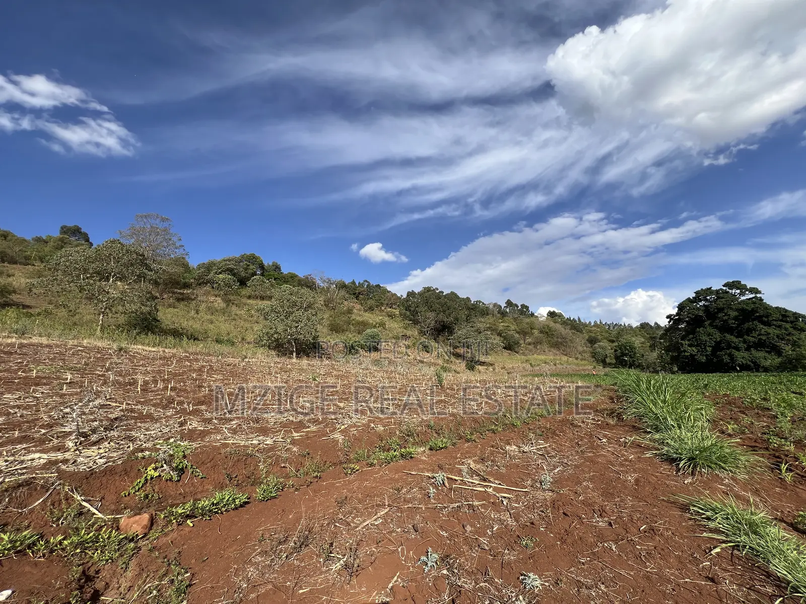 15 Acres of Prime Tourism Land for Sale in Karatu