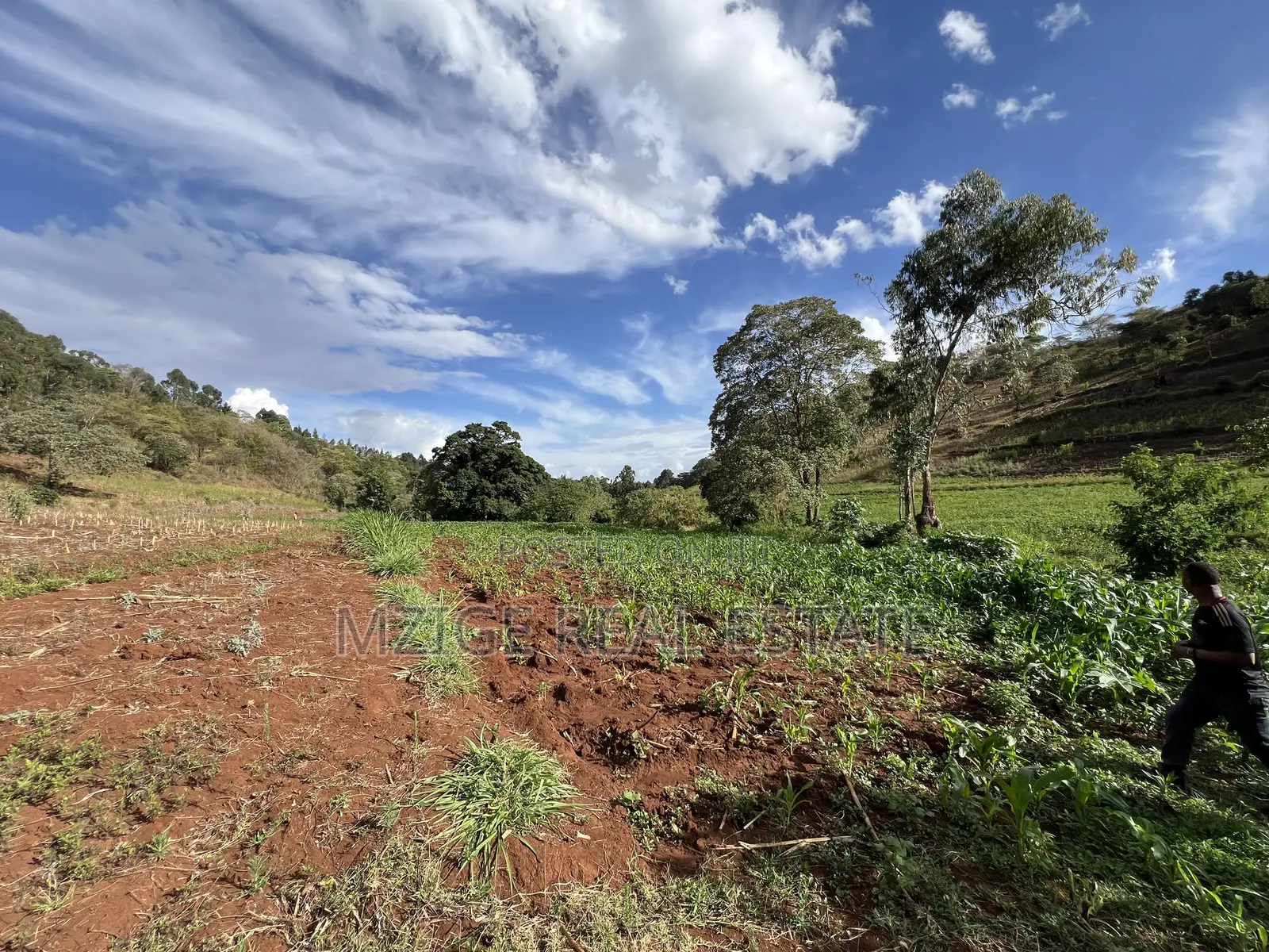15 Acres of Prime Tourism Land for Sale in Karatu