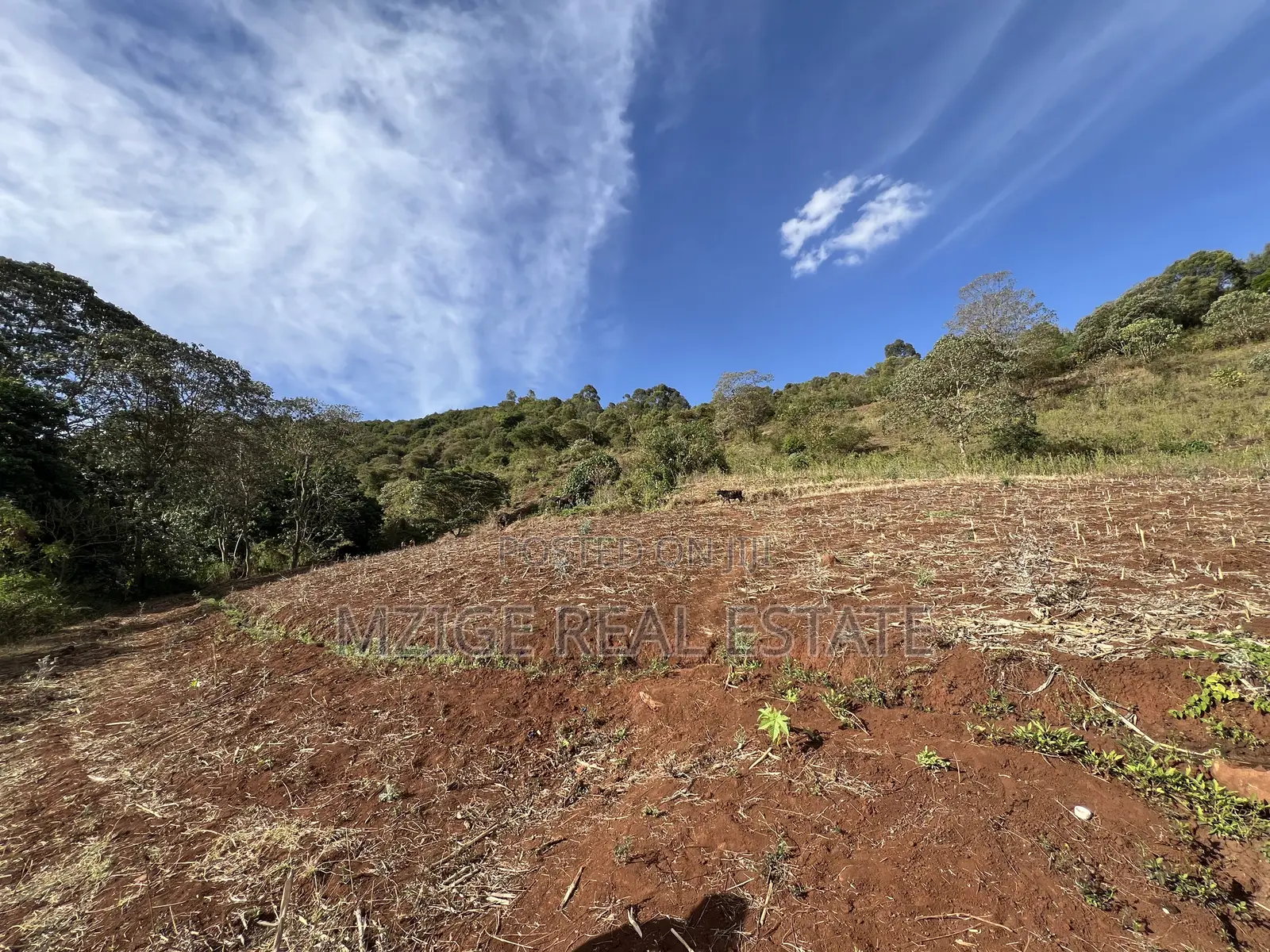 15 Acres of Prime Tourism Land for Sale in Karatu