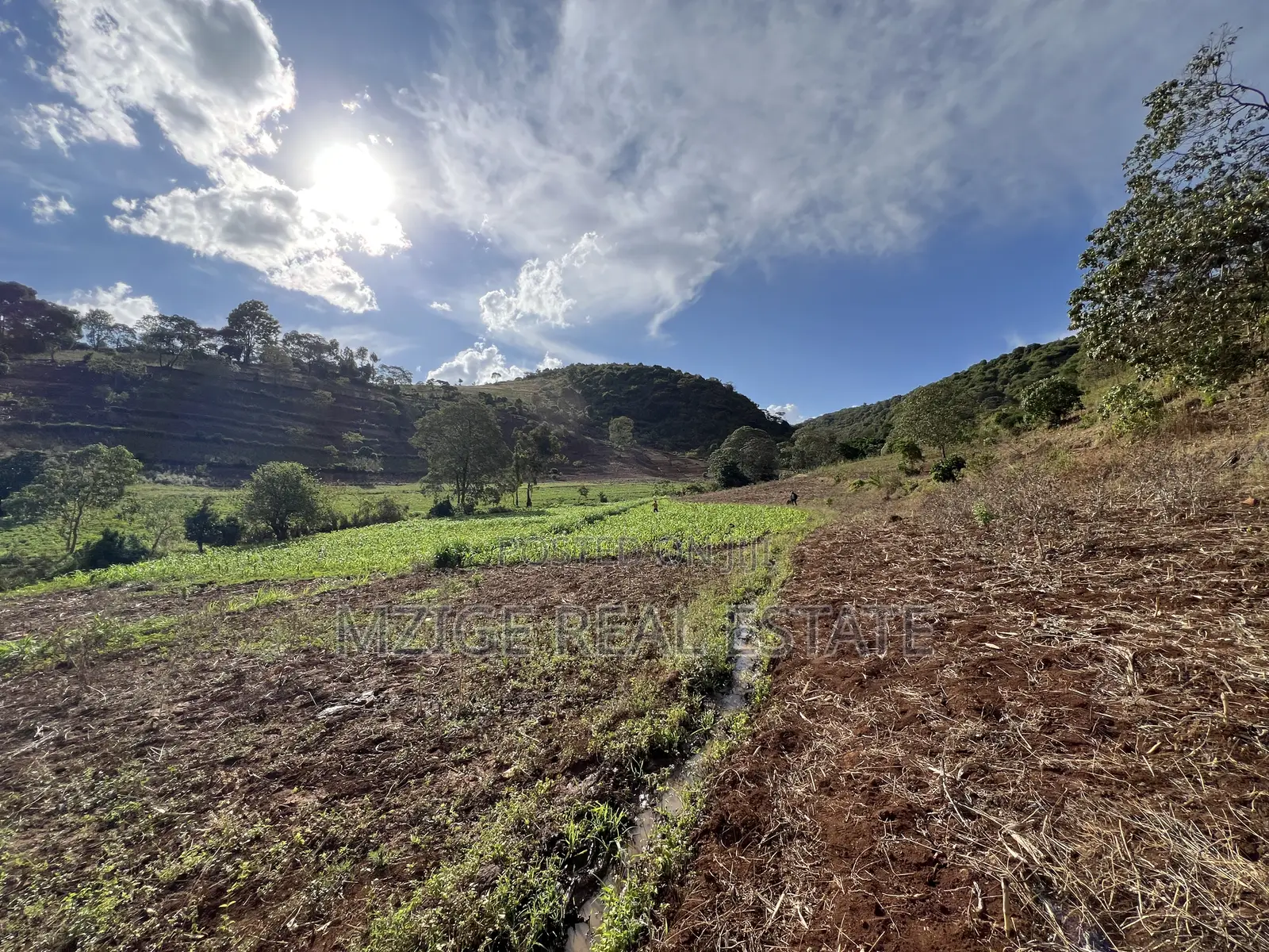 15 Acres of Prime Tourism Land for Sale in Karatu