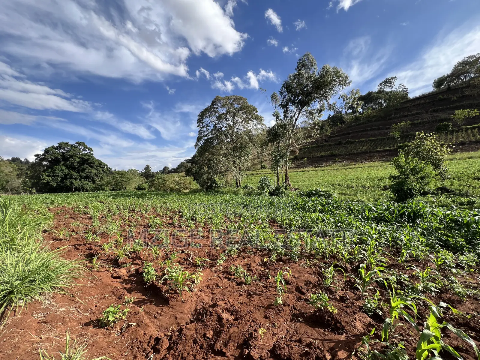 15 Acres of Prime Tourism Land for Sale in Karatu