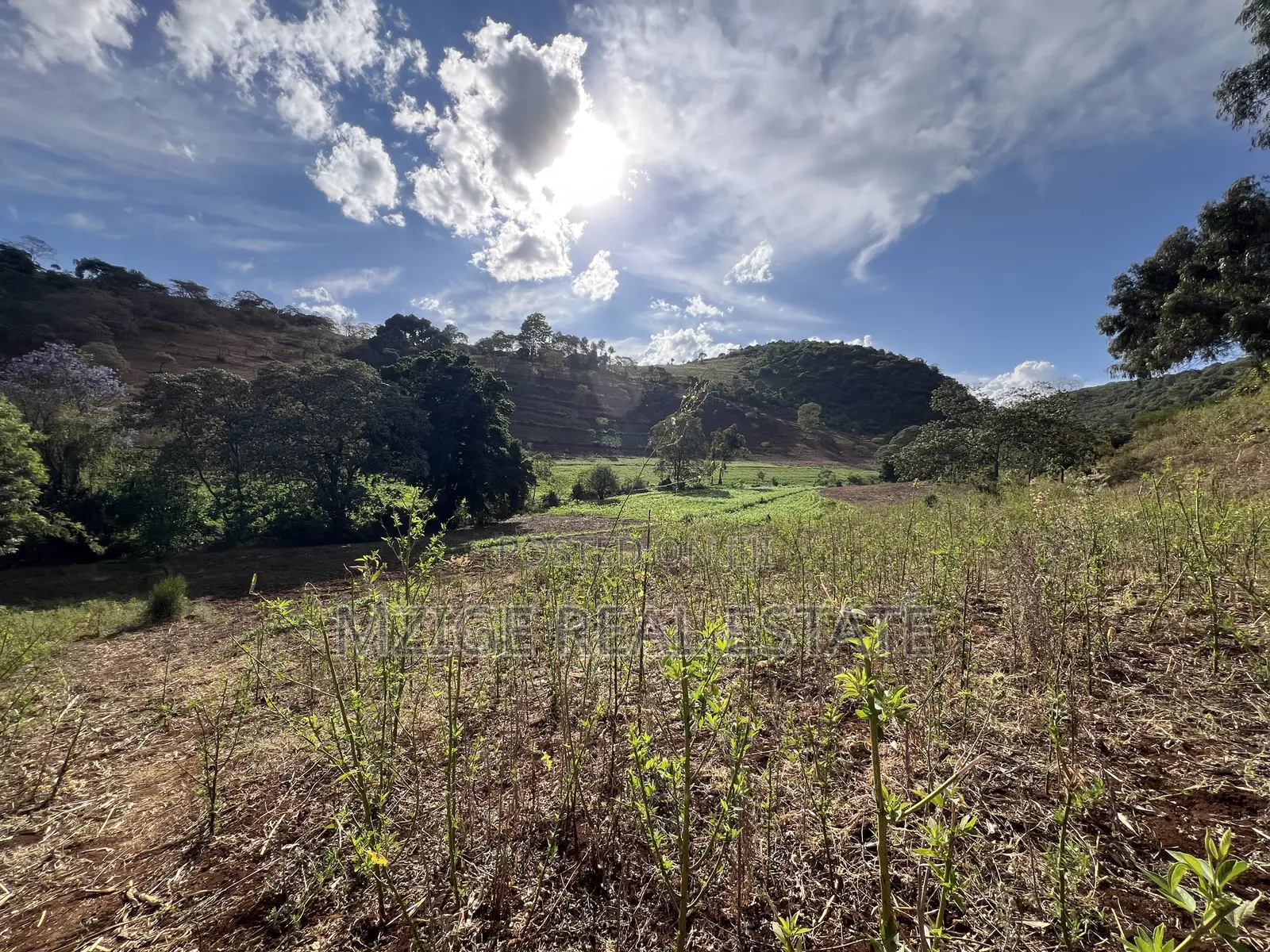 15 Acres of Prime Tourism Land for Sale in Karatu