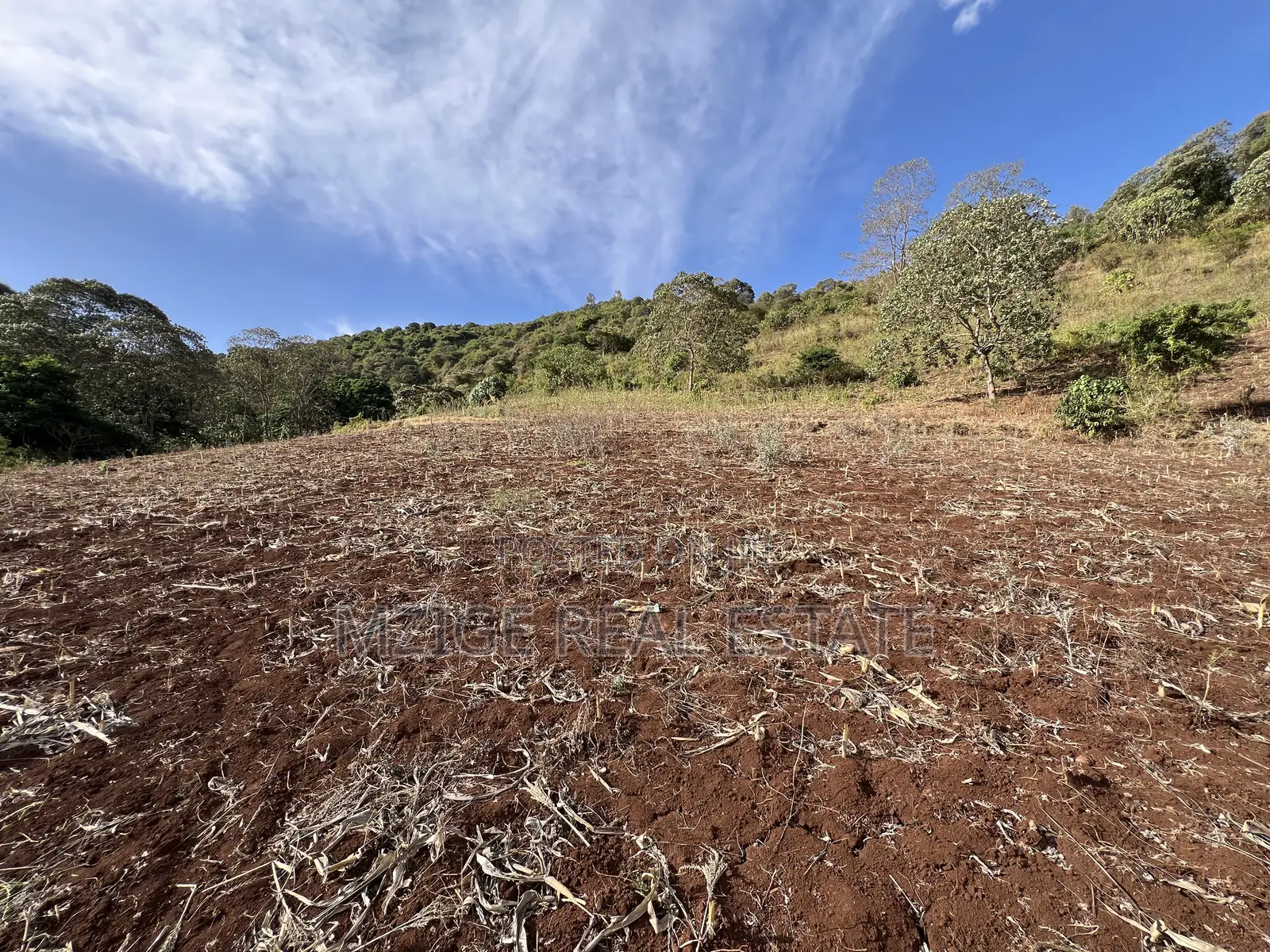 15 Acres of Prime Tourism Land for Sale in Karatu