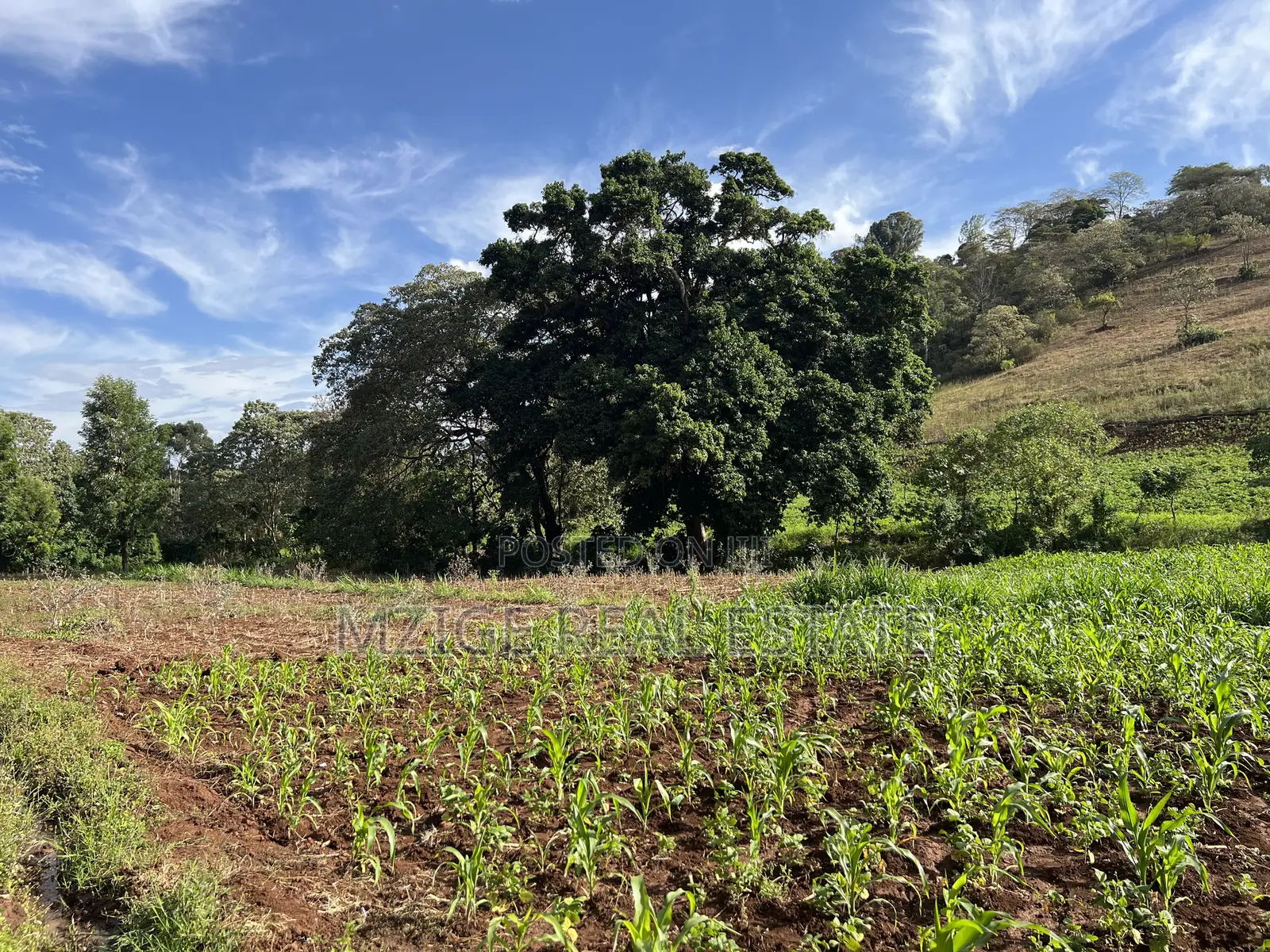 15 Acres of Prime Tourism Land for Sale in Karatu