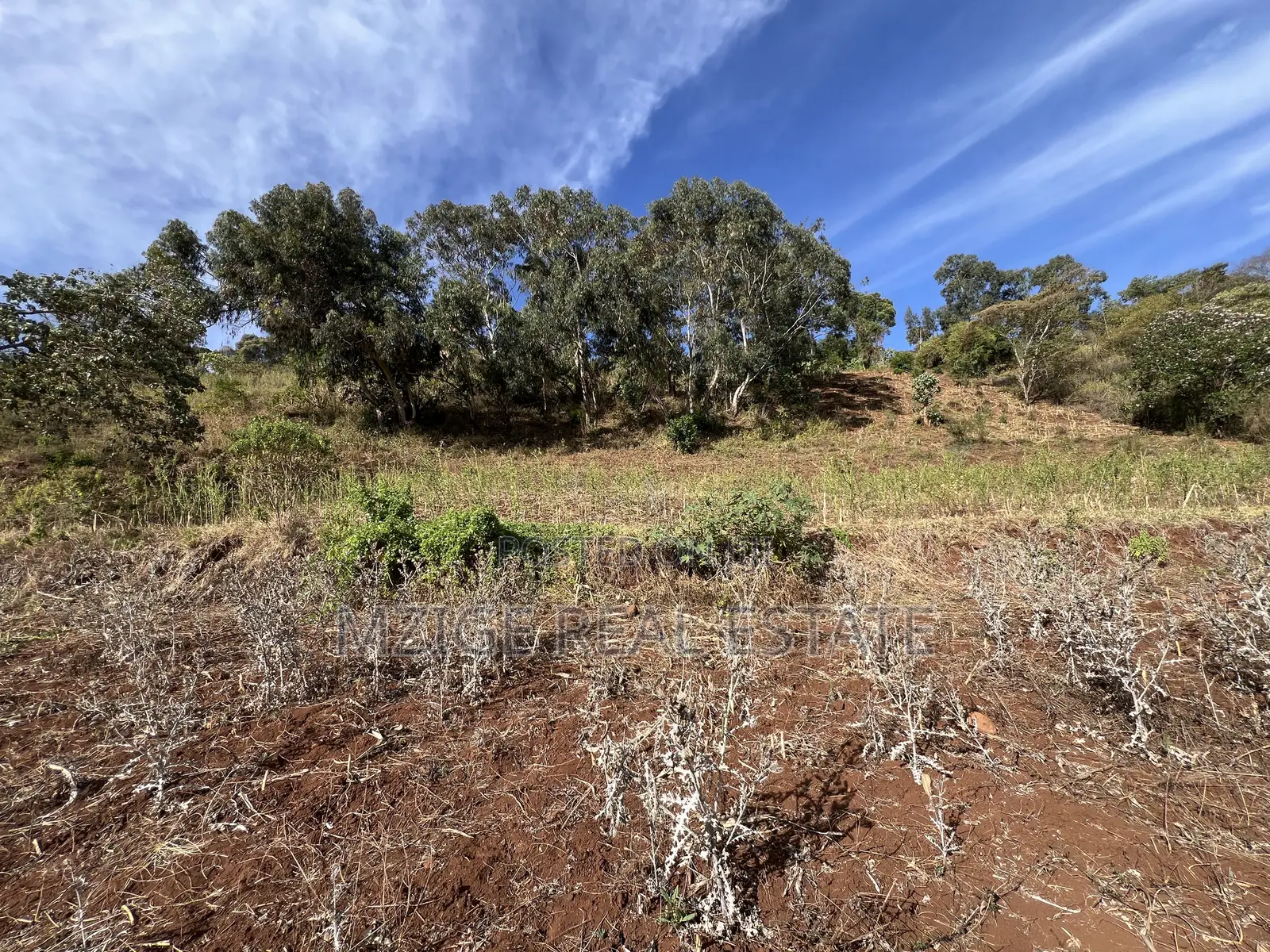 15 Acres of Prime Tourism Land for Sale in Karatu