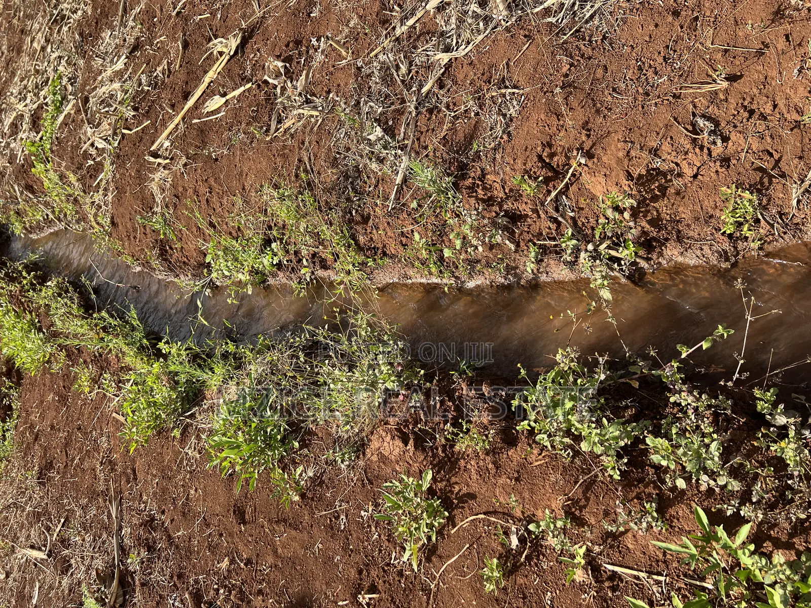 15 Acres of Prime Tourism Land for Sale in Karatu