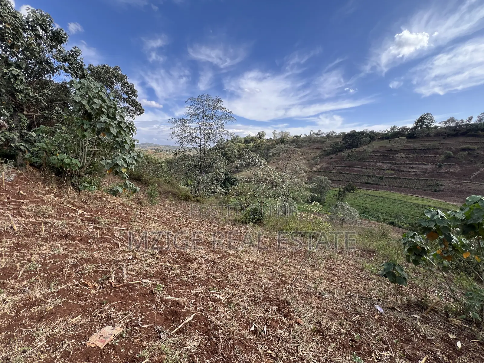 15 Acres of Prime Tourism Land for Sale in Karatu