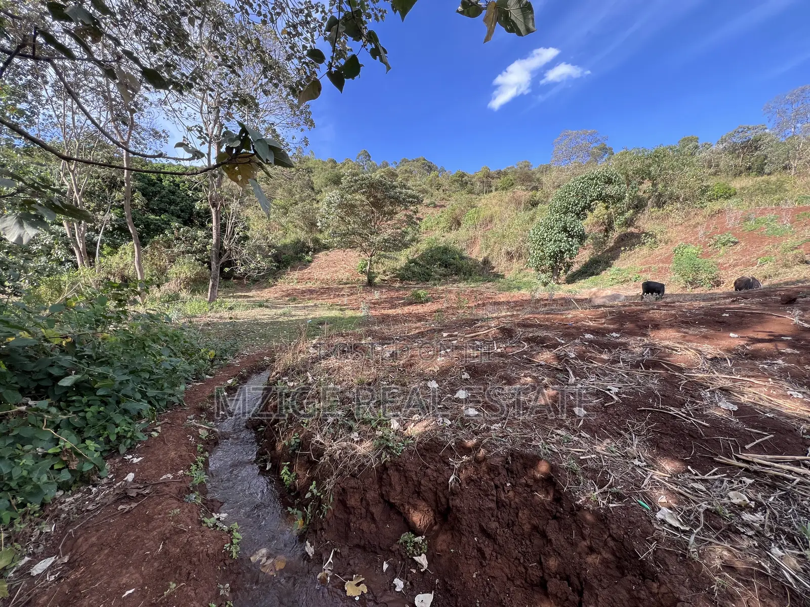15 Acres of Prime Tourism Land for Sale in Karatu
