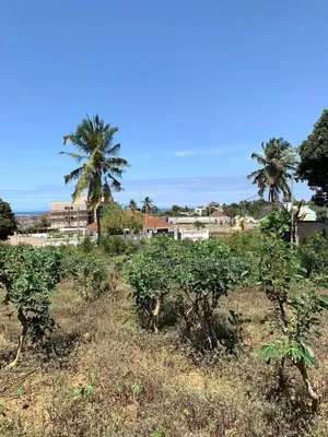 Sea View Plot Area SQM 1040 for Sale at Bunju Beach