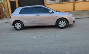 Toyota Corolla RunX 2007 Silver