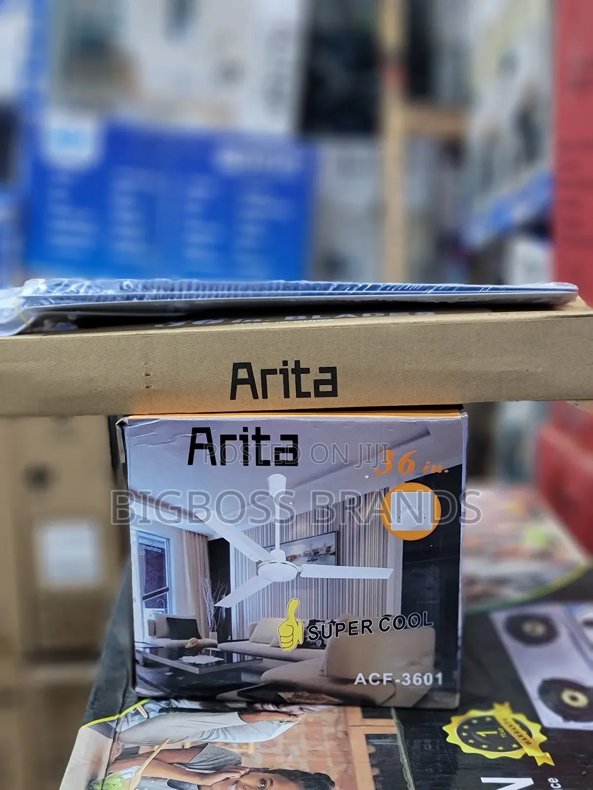 Arita Size 36 Fan [Pangaboy]