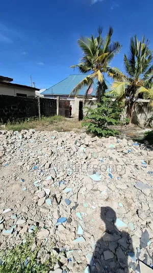 Plot Rent at Sinza Palestina