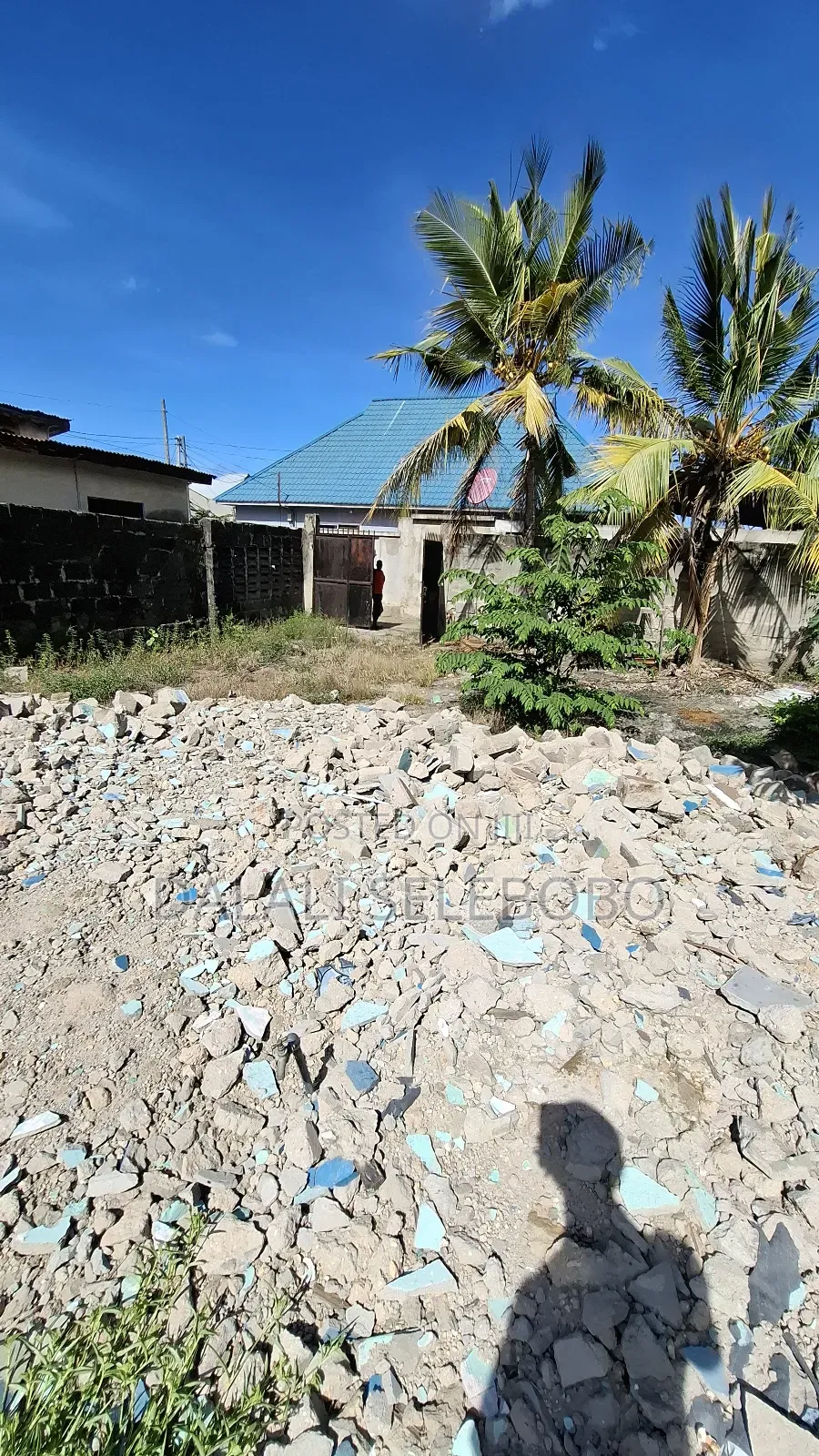 Plot Rent at Sinza Palestina