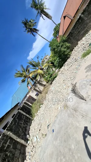 Plot Rent at Sinza Palestina