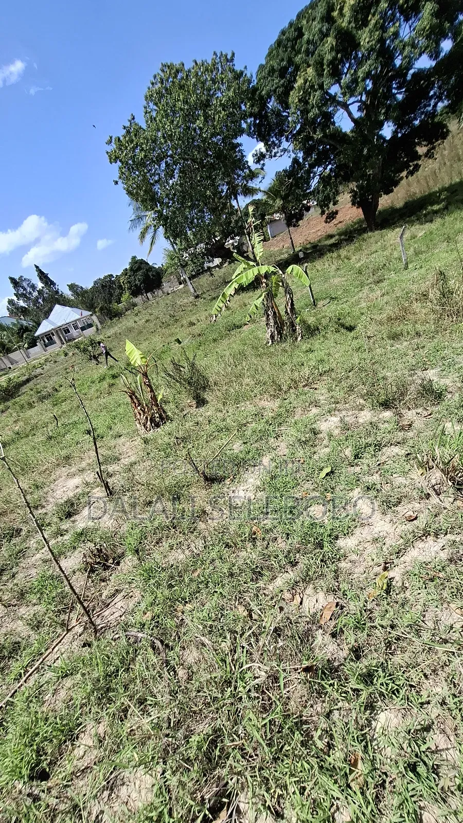 Plot at Kibamba Msingi Upo Pia