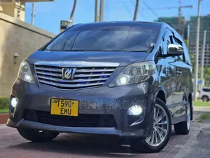 Toyota Alphard 2008 Gray