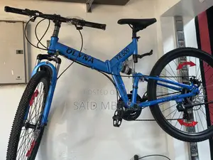 Folding Bicycle Ni Usafiri Mzuri Na Ni Bike Nzuri Kwa Mazoezi Moja