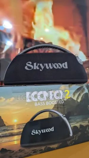 Skywood Boombox2 80w