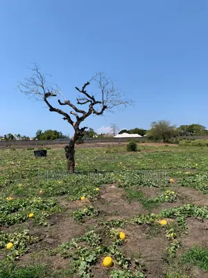 5acres Plot for Sale at Mbweni Malindi