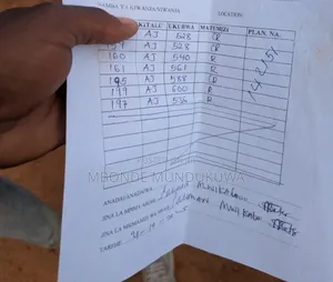 Viwanja Pembeni Na Benjamin Mkapa Hospital Dodoma