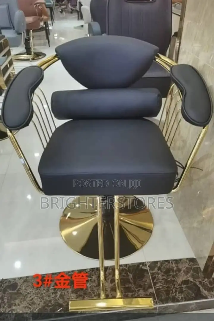 Salon Chair