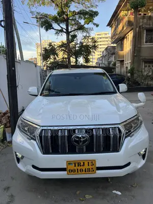 Toyota Land Cruiser Prado 2019 Pearl