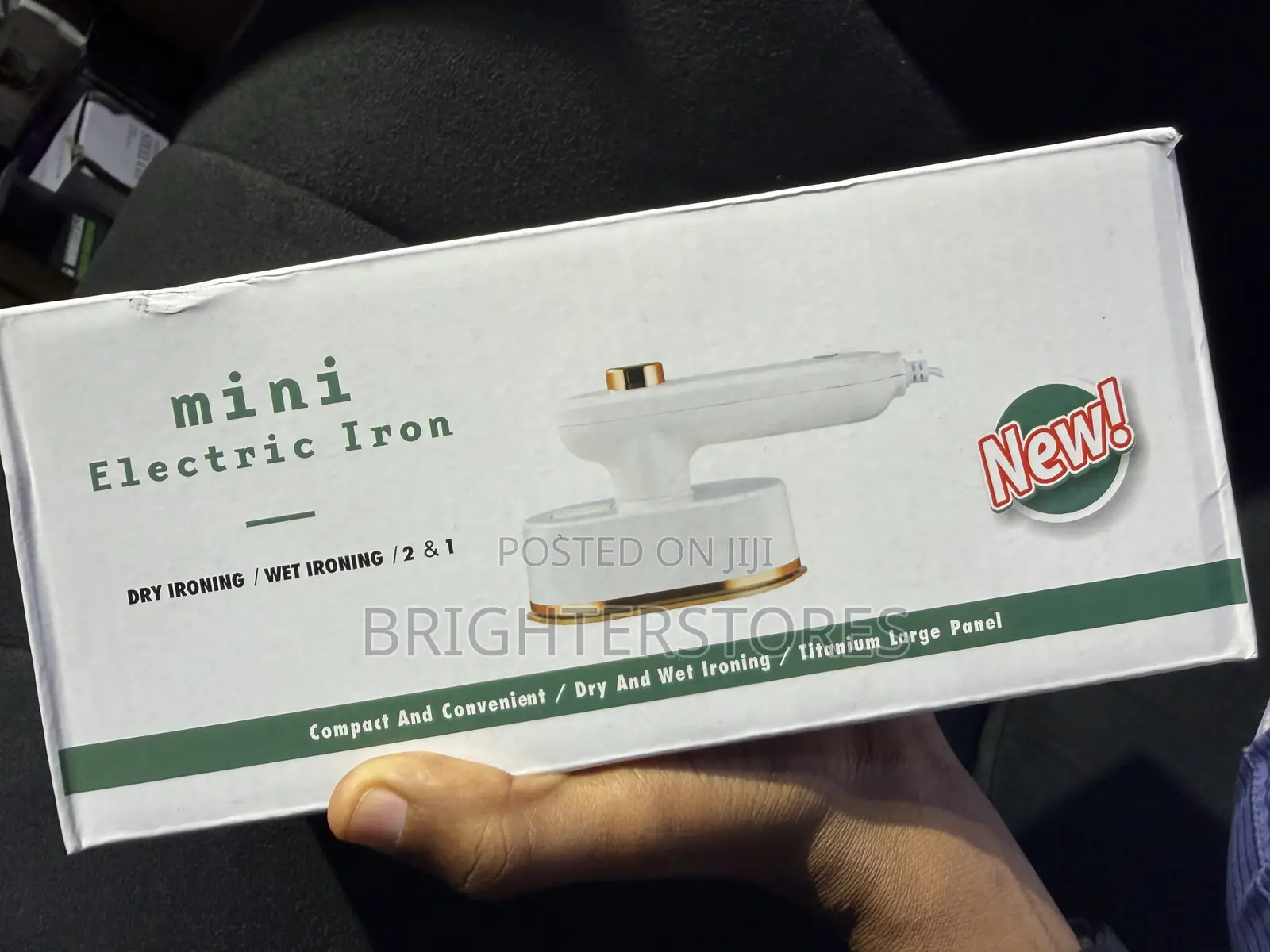 Mini Electric Iron ; Dry Ironing / Wet Ironing